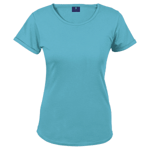 Buy 145g Barron Crew Neck T-Shirt Ladies Online
