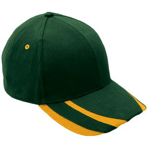 6 Panel Supporter Cap
